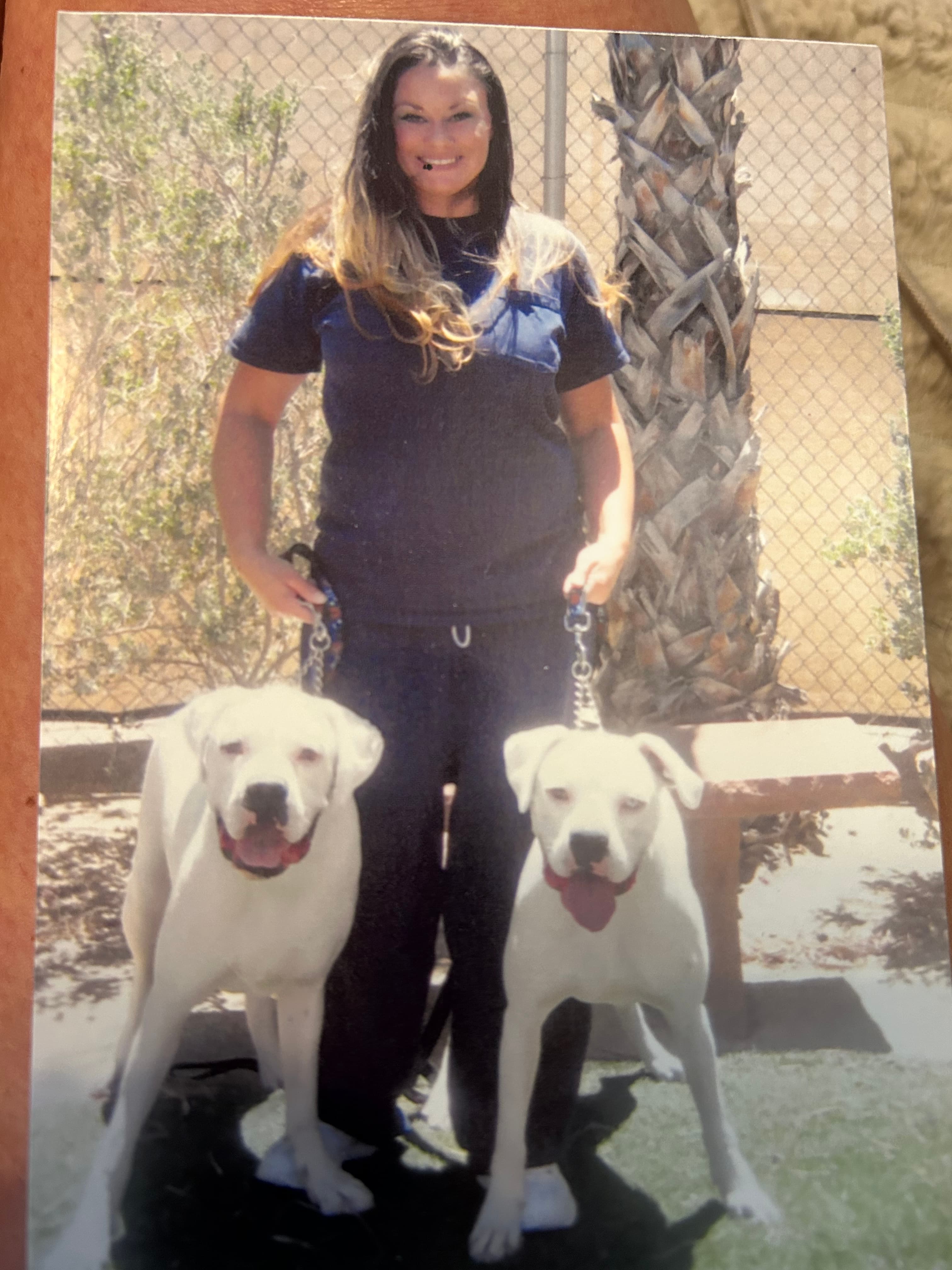 Stephanie working with dogs during rehabilitation training