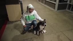 Handler working with a dog on leash inside a training facility